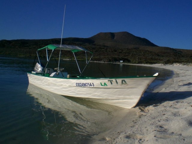  Fishing trips 